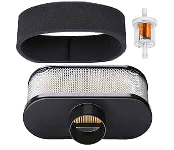 Amazon.com: Emmawin 11013-0752 Air Filter, FR691V Air Filter